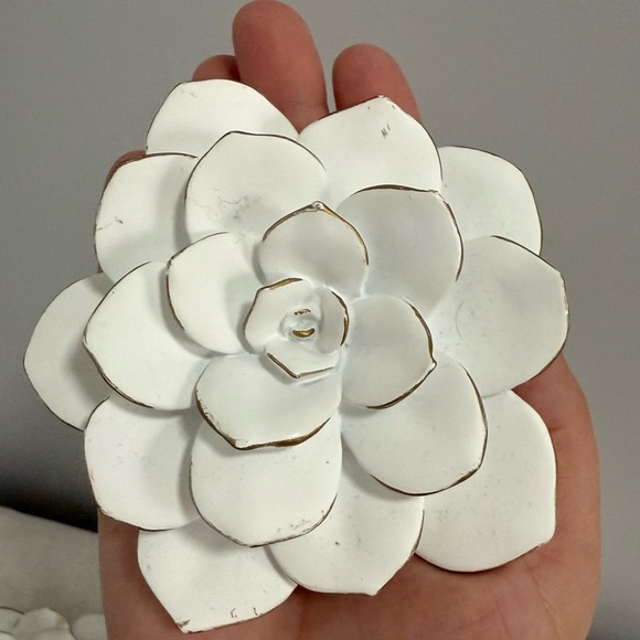 Hobby Lobby White and Gold Succulent Floral Wall Art size Small set of 8 - Picture 4 of 6